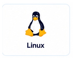 server vps